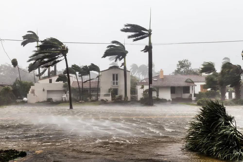 the property data you need for hurricane season