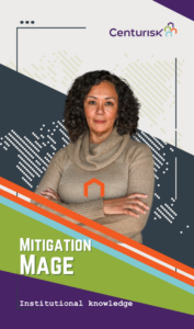 Risk Management Superhero: Mitigation Mage