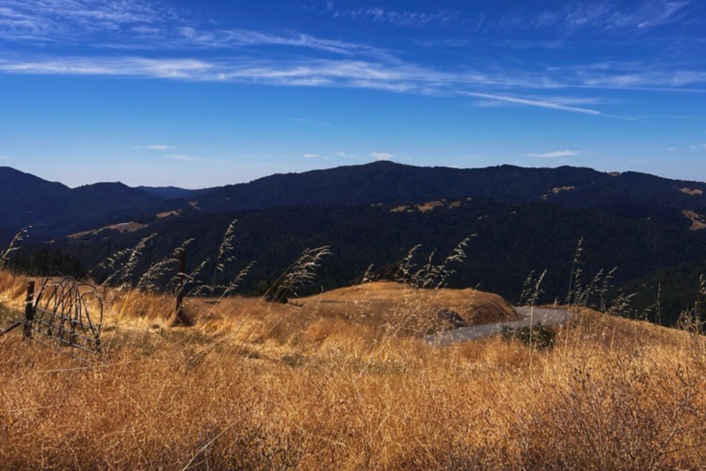 on the road in california