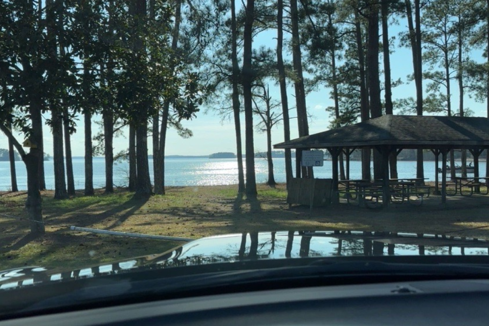 On the Road, Appraising South Carolina